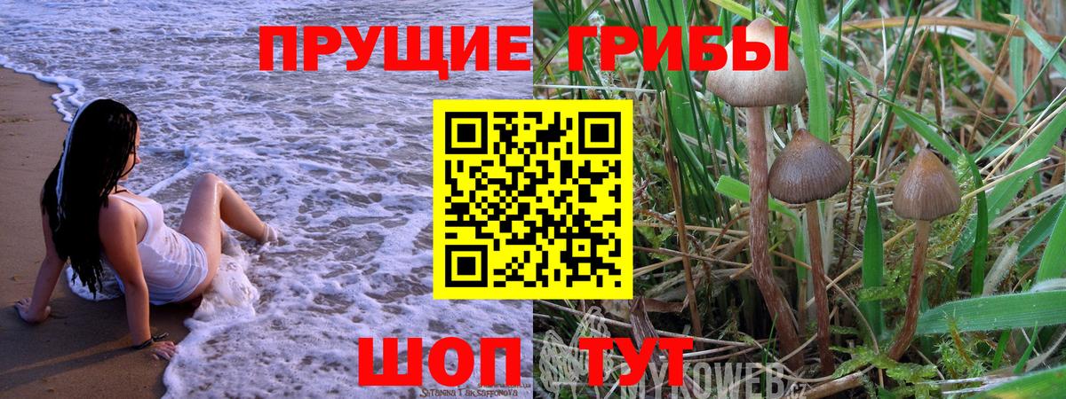Псилоцибиновые грибы ЛСД  Псилоцибиновые грибы Psilocybe  Вход с VPN  Прокопьевск 